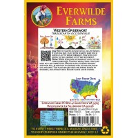 Everwilde Farms - 200 Western Spiderwort Native Wildflower Seeds - Gold Vault Jumbo Bulk Seed Packet   